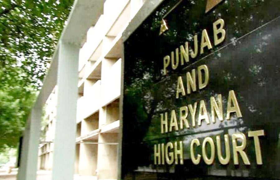 punjab haryana high court