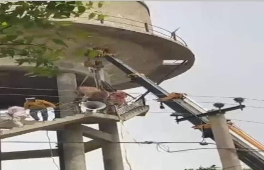 Bull climbs water tank