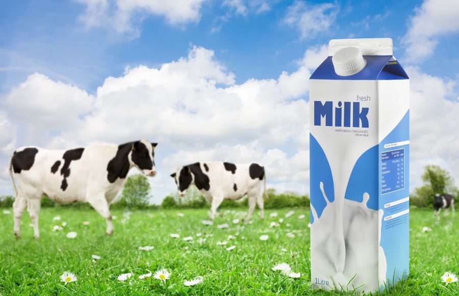 Should You Boil Packaged Milk Before Drinking? - Packaged Milk Safety | NationalBreaking.com