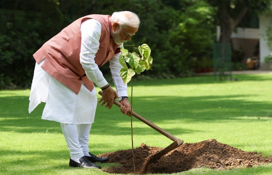 PM Modi Plants Sindoor Plant - Sindoor Plant News | NationalBreaking.com