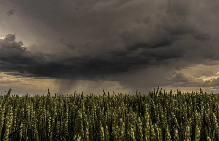 Rajasthan Weather Alert: Rain in 8 Districts Today, Heatwave to Return from June 7