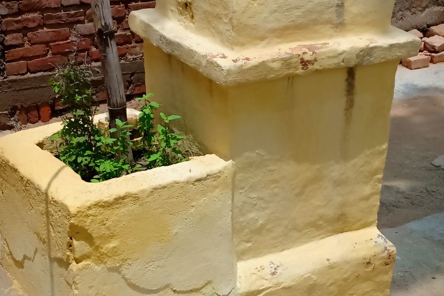 Tulsi vastu tips
