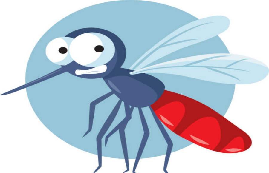 Mosquito Terminator Train